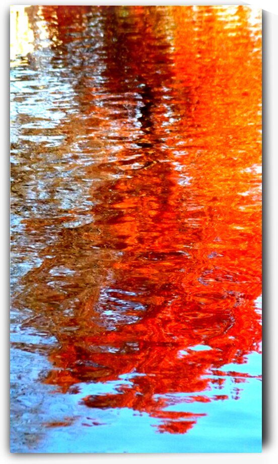 CarleenCliftonBragg Autumn Water Reflections by Carleen Bragg