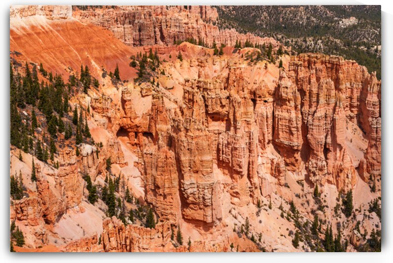 Hoodoos At Rainbow Point Bryce Canyon by Jennifer White