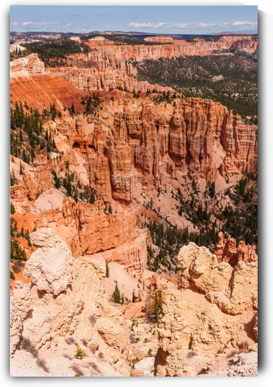Hoodoos At Rainbow Point Bryce Canyon Vertical by Jennifer White