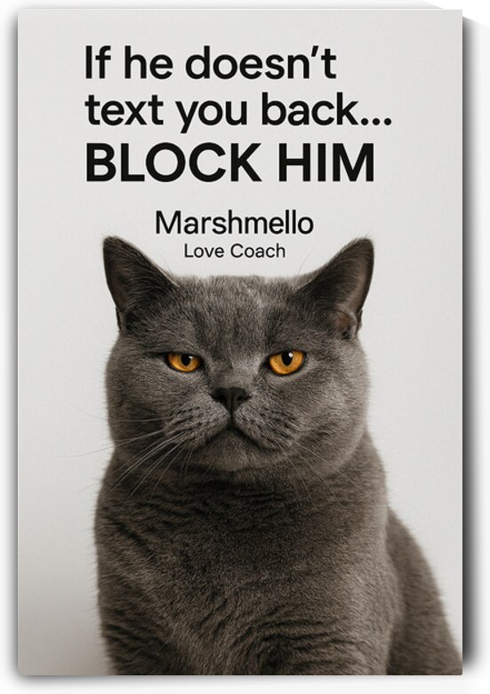 Animal Portrait – Sassy Cat Poster by Marshmello Your Love Coach by THE MARSHEMELLO