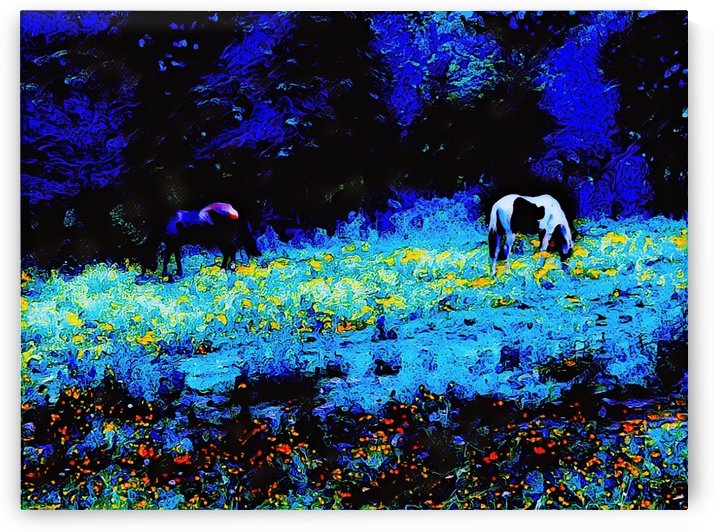 The Perfect Moment by ZUBERI KIBWE