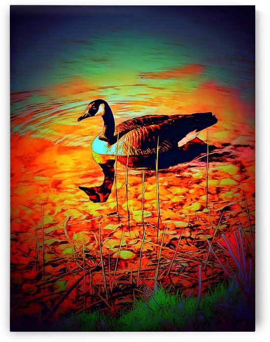 Quietude by ZUBERI KIBWE