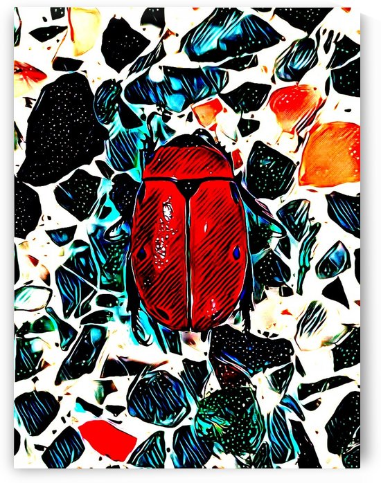 The Beetle by ZUBERI KIBWE