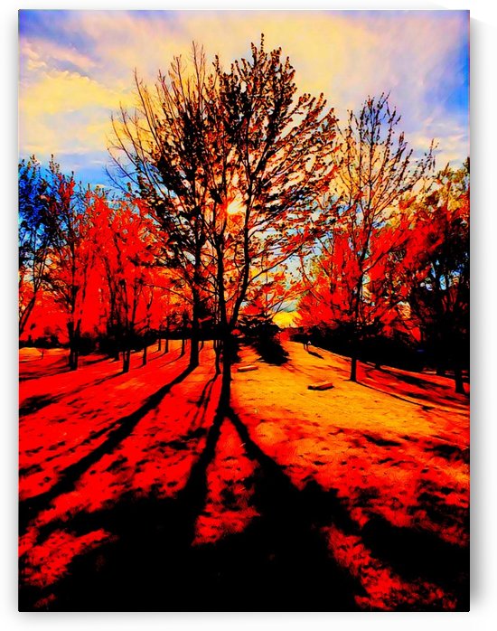 A Walk in the Park by ZUBERI KIBWE