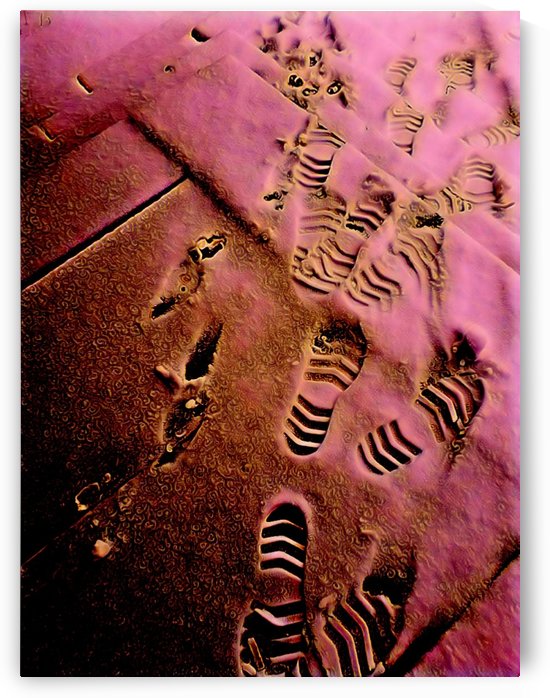 Steps to the House of Love & Roses by ZUBERI KIBWE