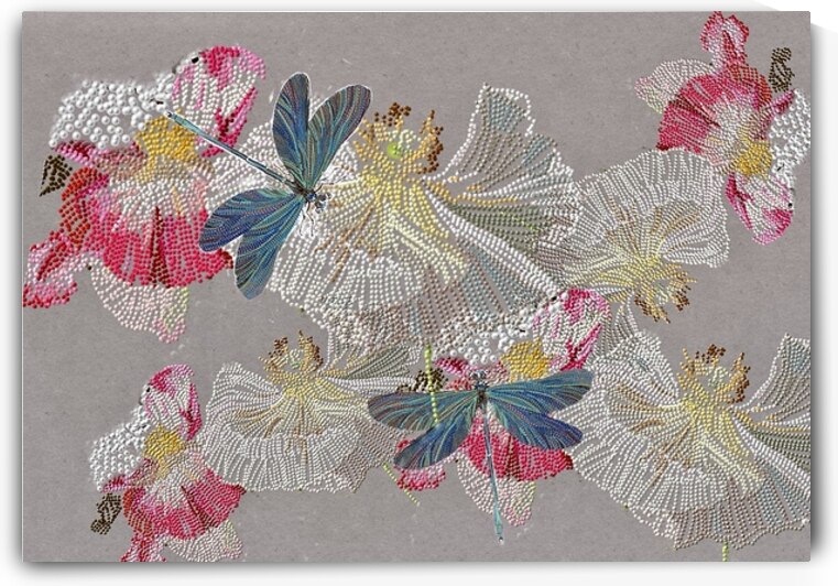 Poppies and dragonflies by Sarah Butcher