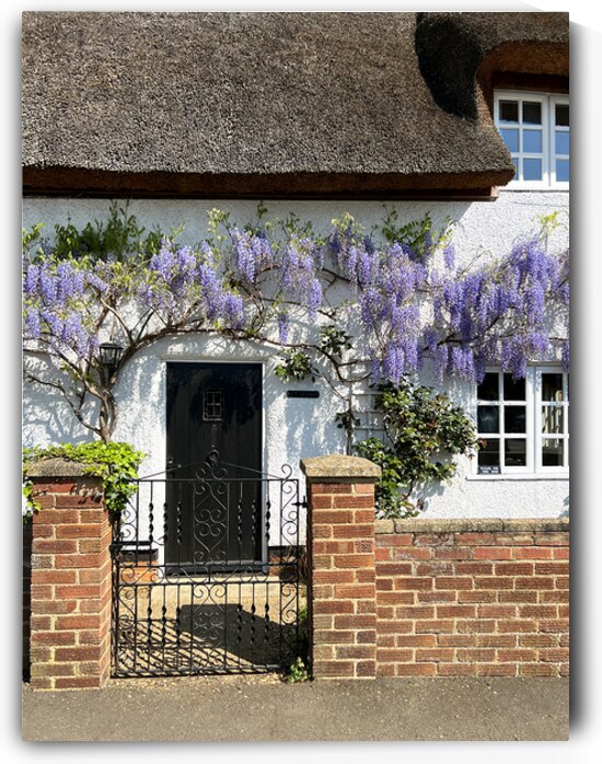Wiasteria Cottage Door by Gill Billington