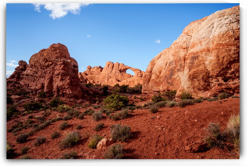 Skyline Arch In Sunlight by Jennifer White