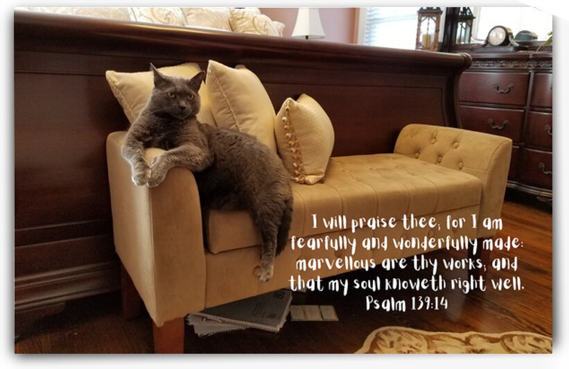 203 by Charles Howard