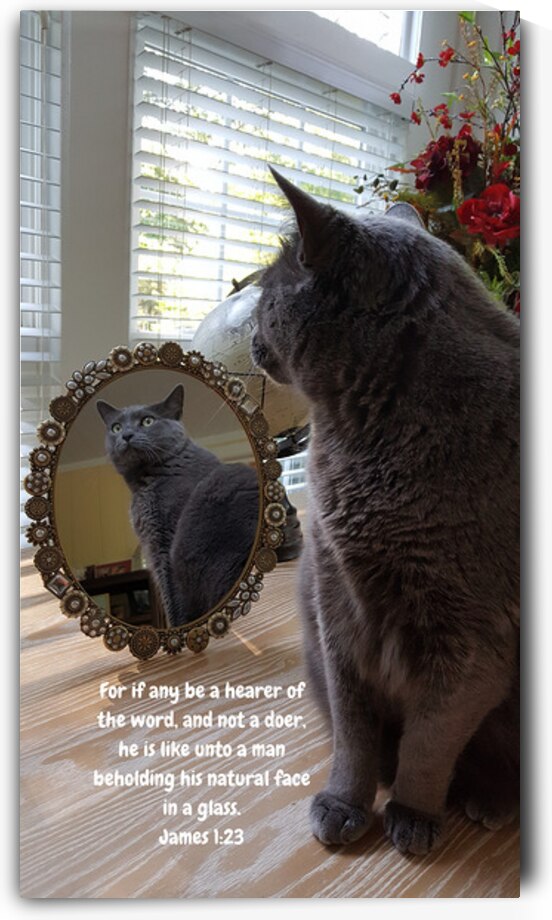 202 by Charles Howard