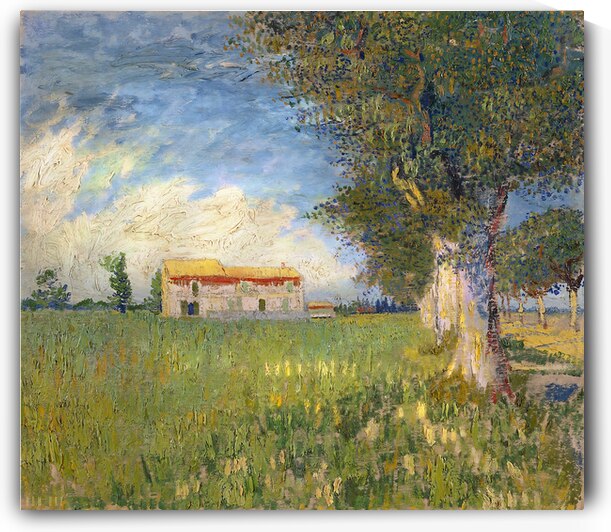 Farmhouse in a Wheat Field by Row One Brand