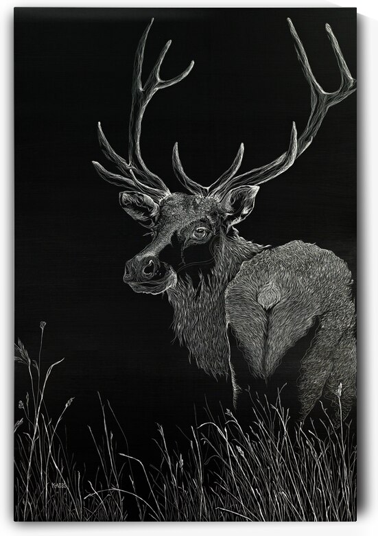 FIRST LIGHT | Twilight Keepers Series by K ABBS mud ink studio