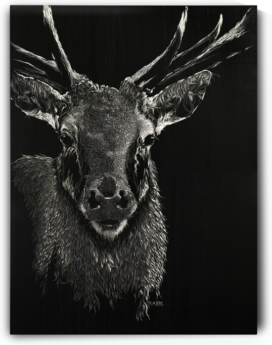 LAST SHADOW | Twilight Keepers Series by K ABBS mud ink studio