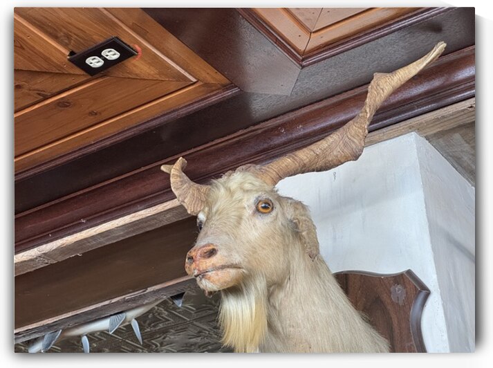 IMG 1897 by James Anthony Lee