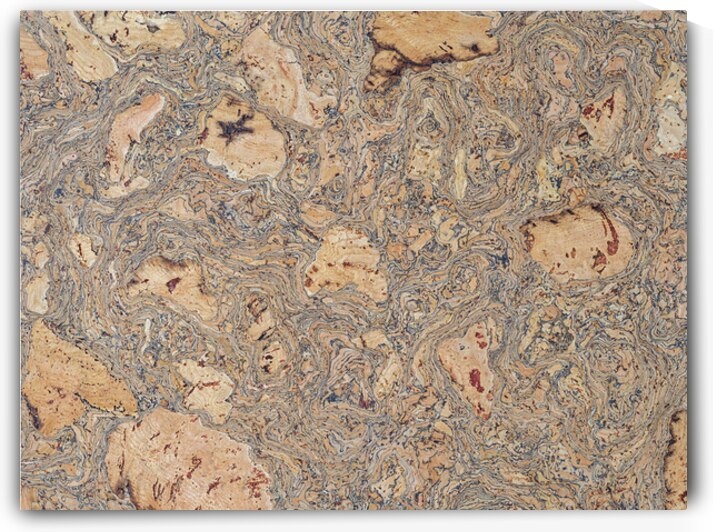 Natural Cork Background by Assaf Frank