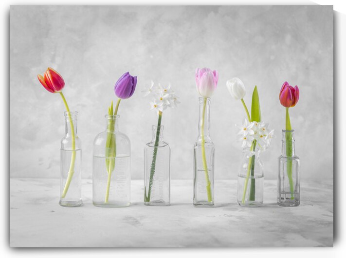 Glass Bottles of Spring by Assaf Frank