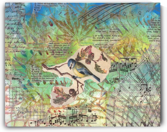 New Bird Collage by Carl Johengen