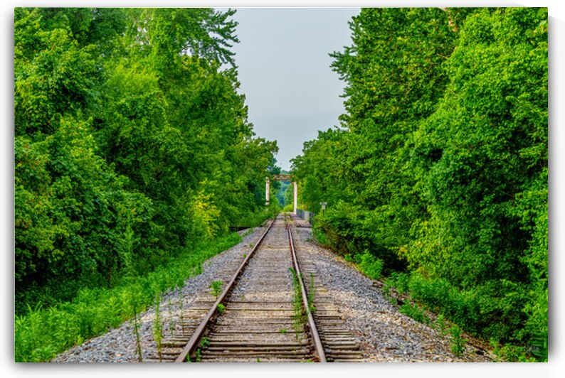 Ozarks Abandoned Railroad Tracks by Jennifer White