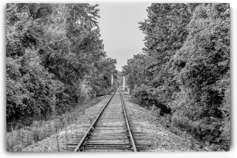 Ozarks Abandoned Railroad Tracks Grayscale by Jennifer White