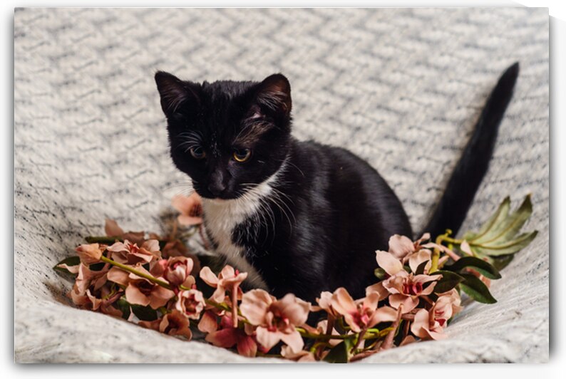 Magpie Portrait With Flowers by Jennifer White