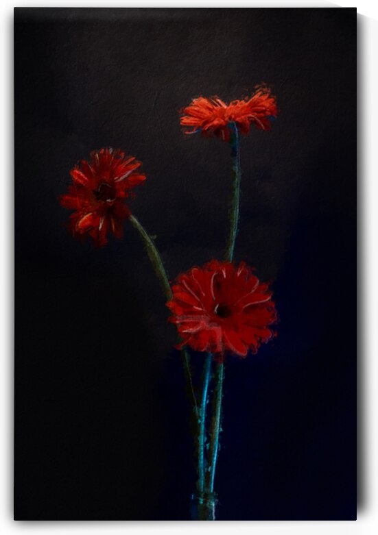 Red Blackeye by Kays Fine Art 
