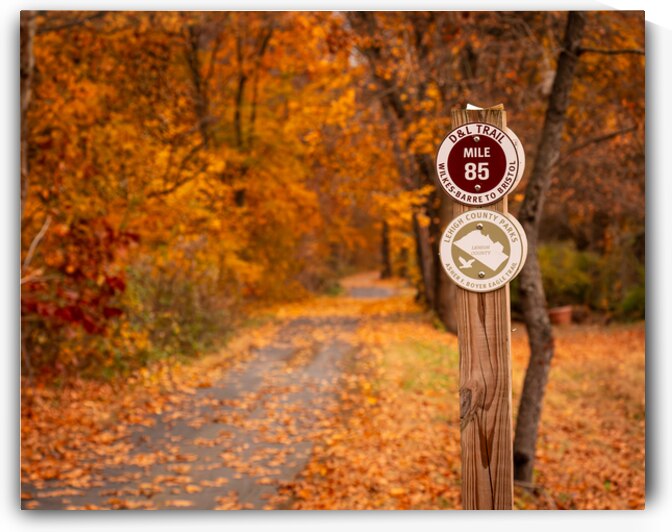 DL Trail North Whitehall Township by Jason Fink