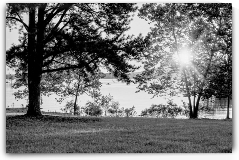 Table Rock Lake Morning Sunburst Fishing Graycale by Jennifer White