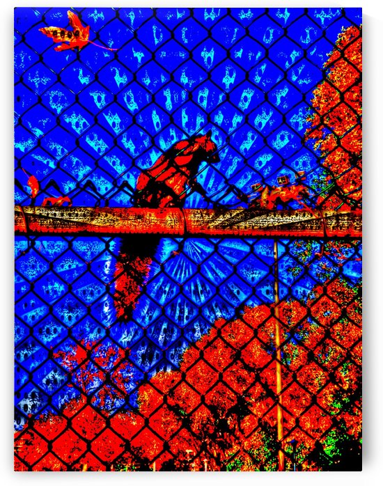 The Squirrel  by ZUBERI KIBWE