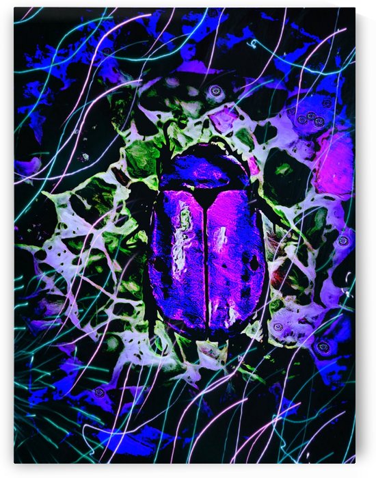 The Beetle 2 by ZUBERI KIBWE