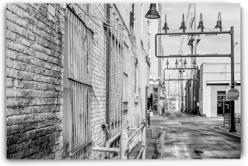 Old Window Bars Grayscale by Jennifer White
