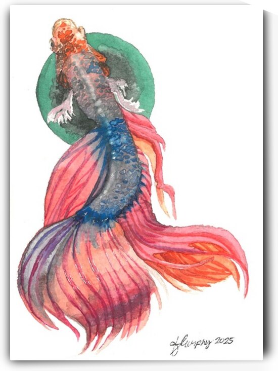 Siamese Fighting Fish by Malayang Hari