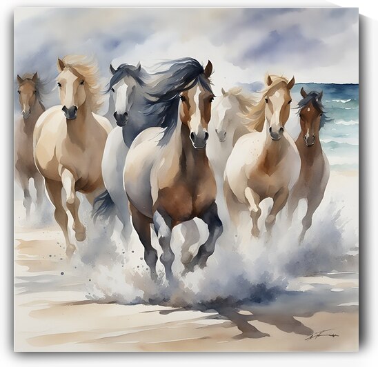 Wild Horses by DebKay