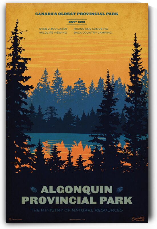 Algonquin Provincial Park Poster by Cameron Stevens
