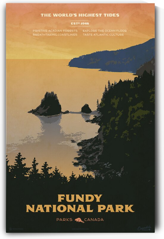 Fundy National Park Poster by Cameron Stevens