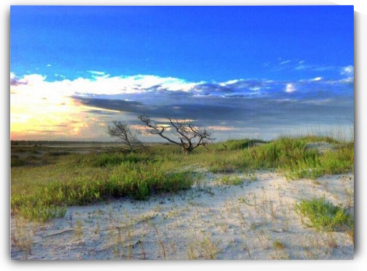 Fullscreen capture 3192021 23939 PM by Wilapics Art