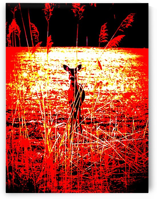 The Deer by ZUBERI KIBWE