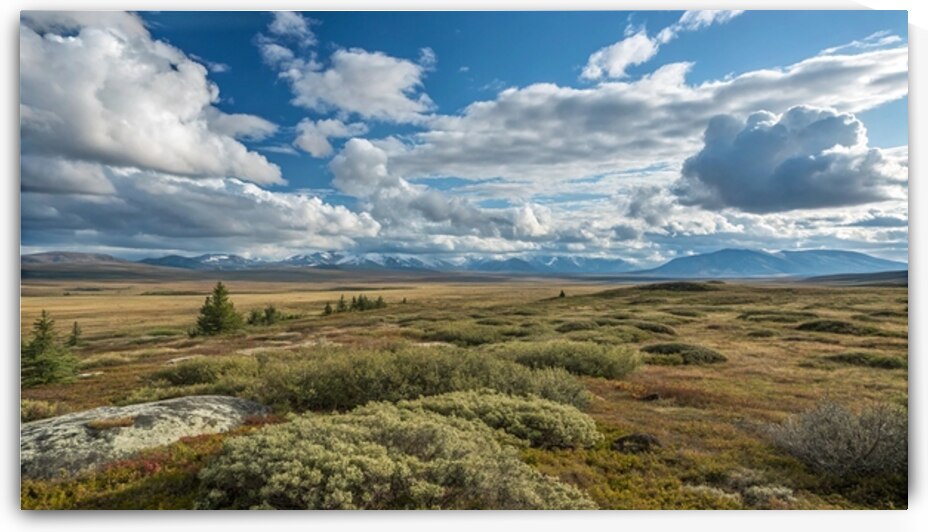 Fall Tundra Under a Dramatic Sky by DesignTech