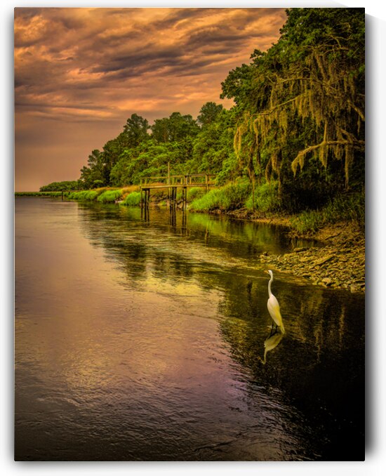Heron on the Coosawhatchie River Sunset by Norma Brandsberg Photography