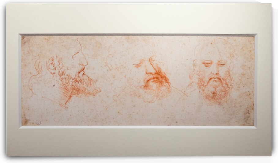 Leonardo da Vinci anatomical drawing on handmade cotton paper R by Paolo Modena