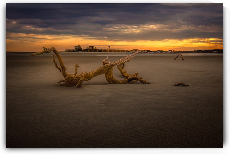 Weathered Myrtle Beach Sunset Tidal Treasure by Norma Brandsberg Photography