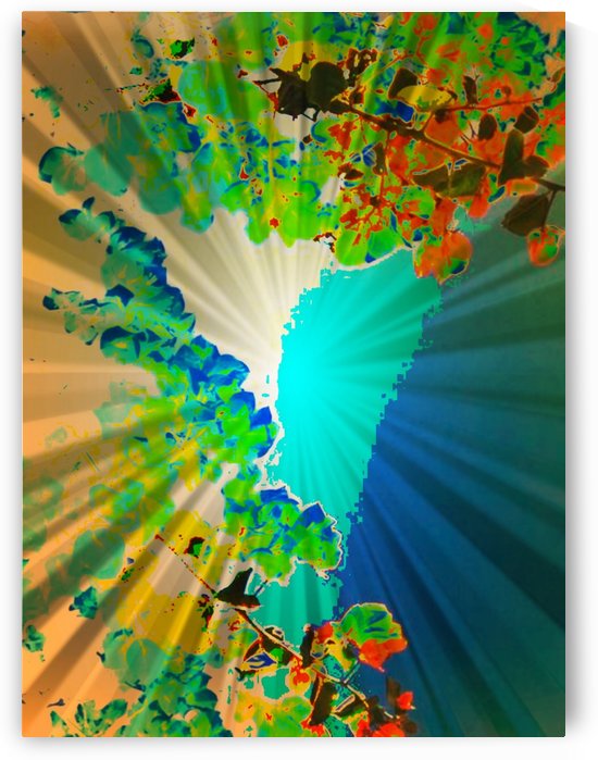 The fan by ZUBERI KIBWE