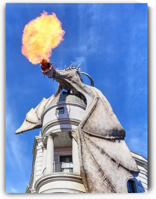 Firebreathing Dragon by Ryan Cameron