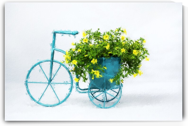 summer yellow flower  by Kays Fine Art 