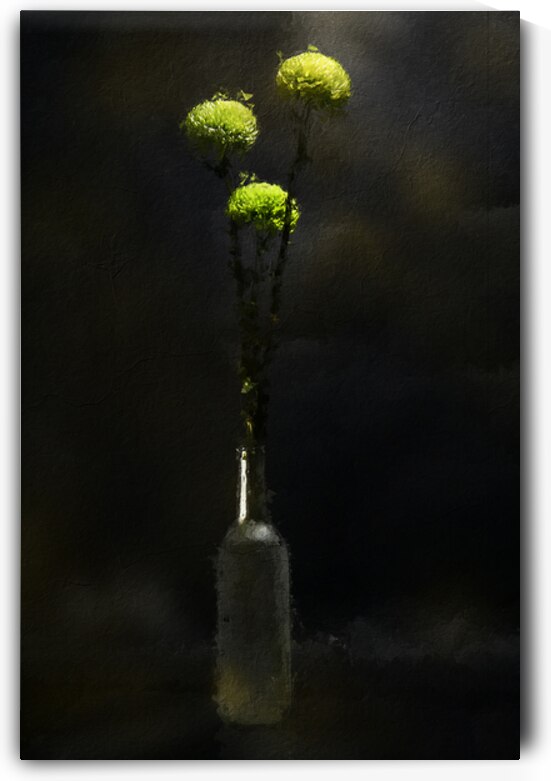 In the Bottle by Kays Fine Art 