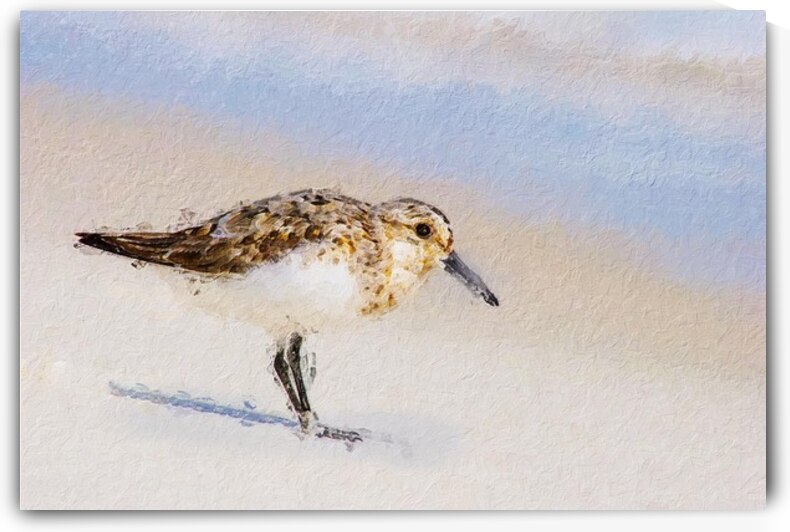 Out for a walk  by Kays Fine Art 