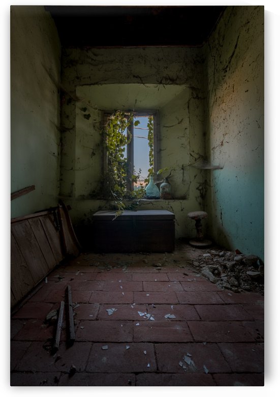 Abandoned Chest by Steve Ronin