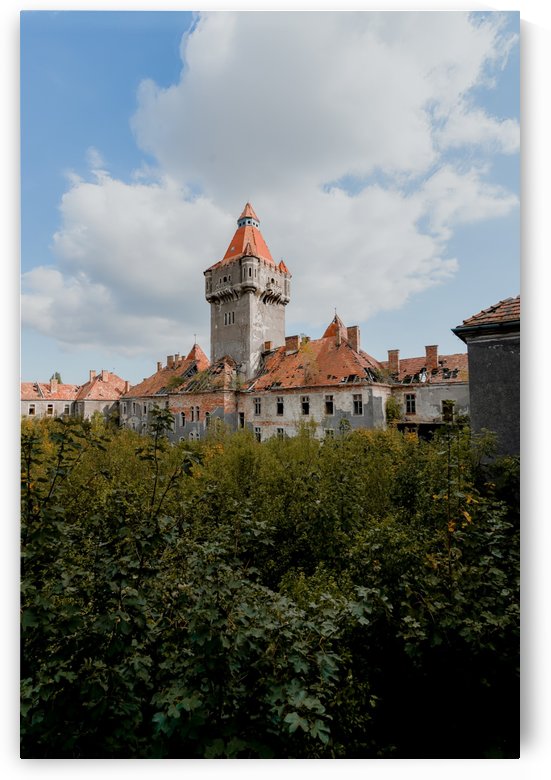 Abandoned Chateau Nature Overgrowing by Steve Ronin
