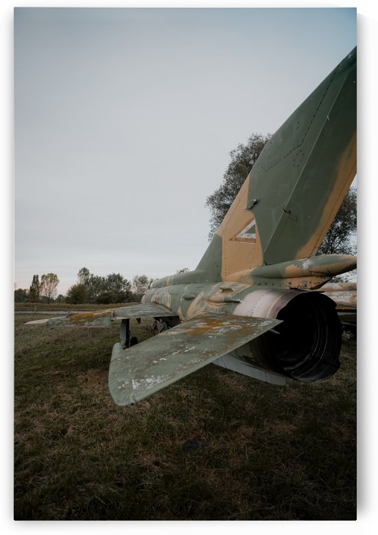 Abandoned Fighter Jet Back by Steve Ronin