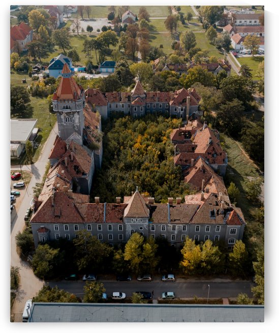Abandoned Chateau w- Forest Courtyard by Steve Ronin