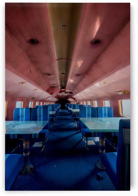 Abandoned Airplane Seats by Steve Ronin